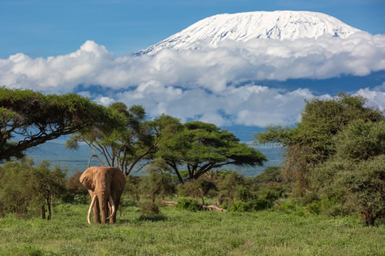 3 Days Amboseli Safari